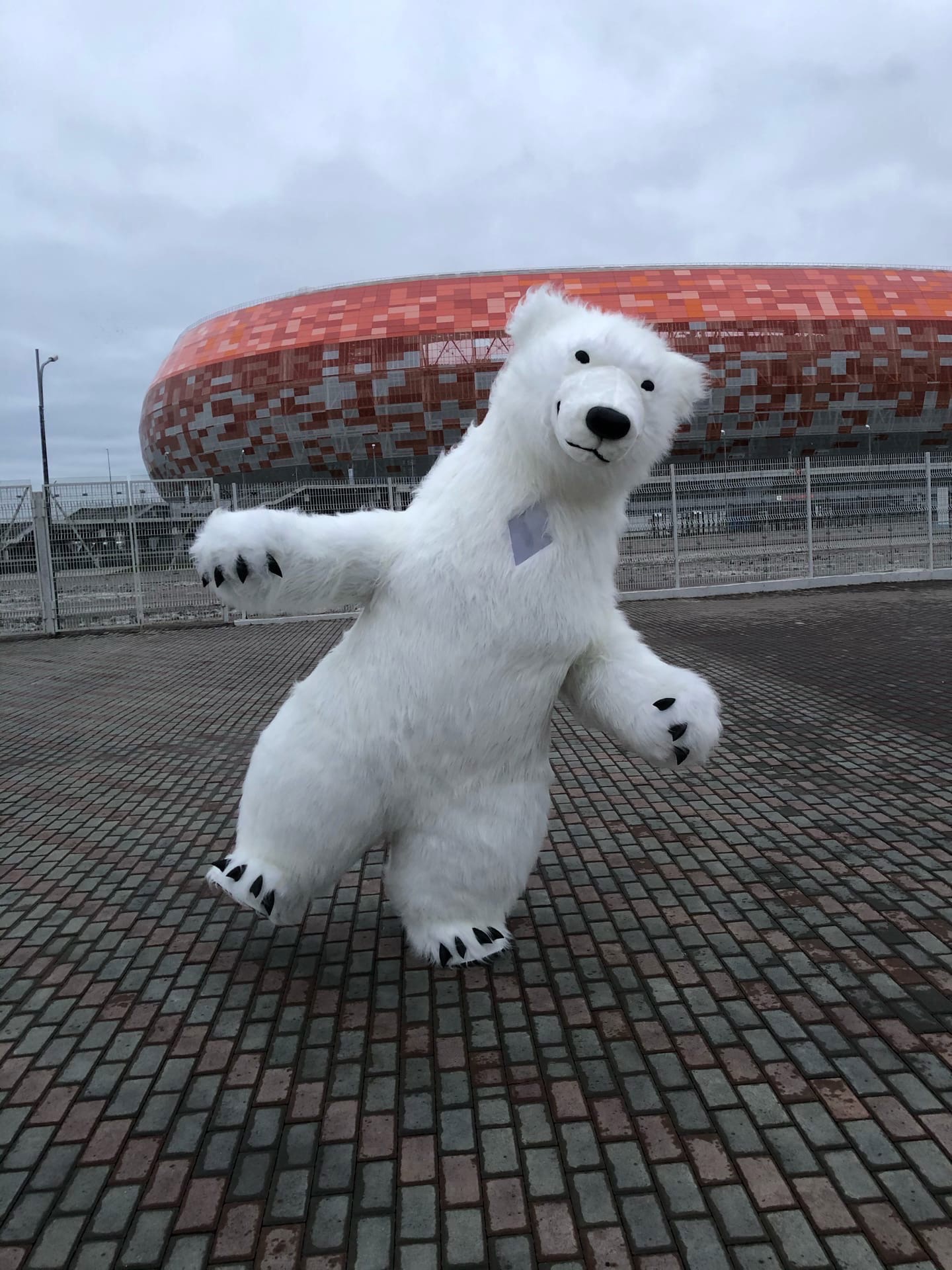 клуб белый медведь в саранске